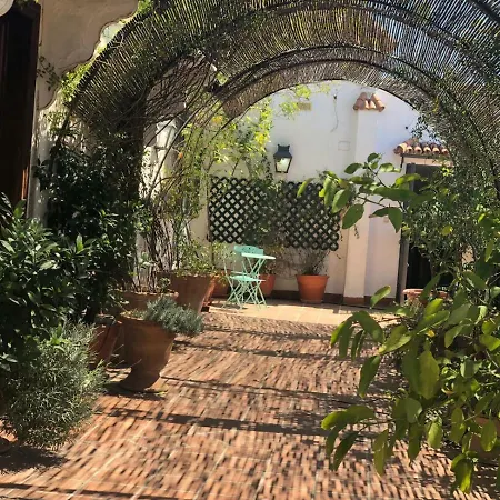 Cool Vailima Apartment Cordoba