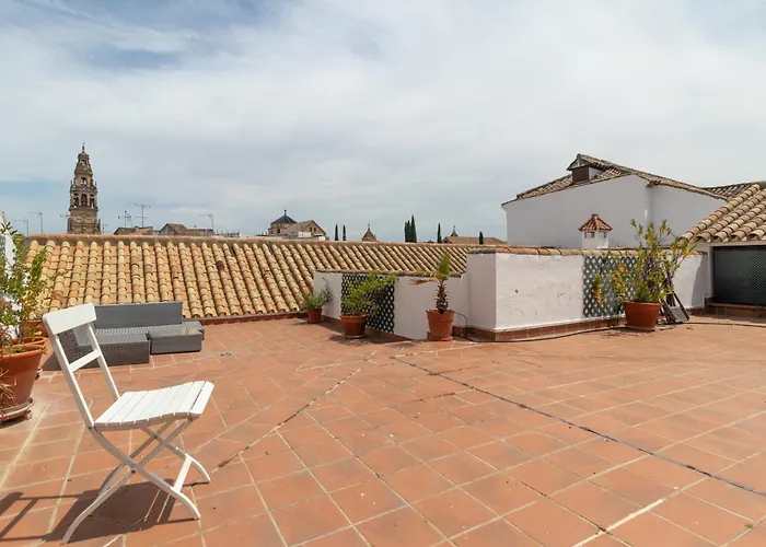 Cool Vailima 科爾多瓦